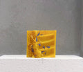 Citrus Sunrise Bar Soap
